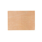 Jenny Holzer Men Don't Protect wooden postcard